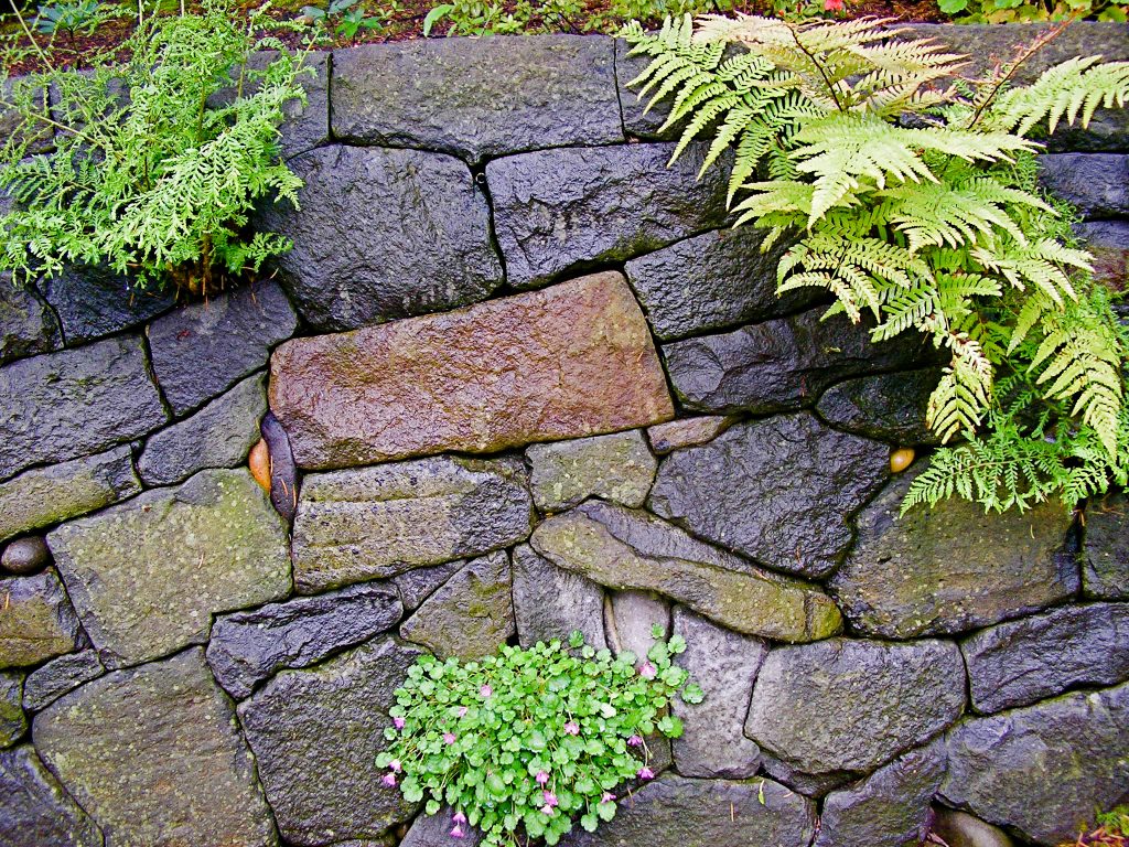 Eric Contey Stonework – Wall detail at the Rhododendron Gardens, Portland, OR