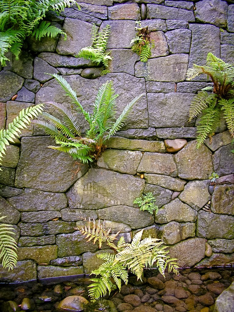 Eric Contey Stonework: Rhododendron Gardens fern wall and pool detail