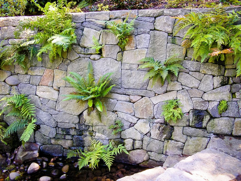 Eric Contey Stonework: Rhododendron Gardens fern wall and pool